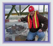 Pigeon Control and Pigeon Removal